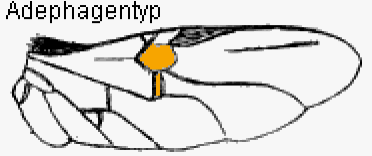 abb003.gif