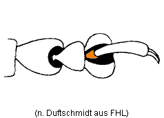 abb021.gif