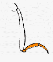 abb024.gif