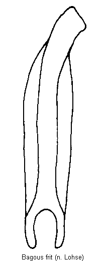 bagous_frit.gif