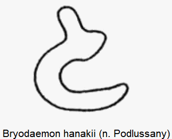 bryodaemon_hanakii_sperm.gif