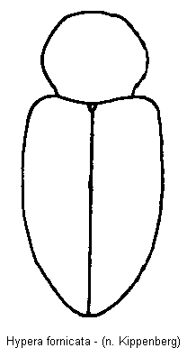 hypera_fornicata_hab.gif