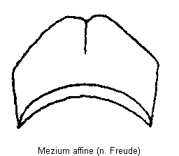 mezium_affine_hsch.gif