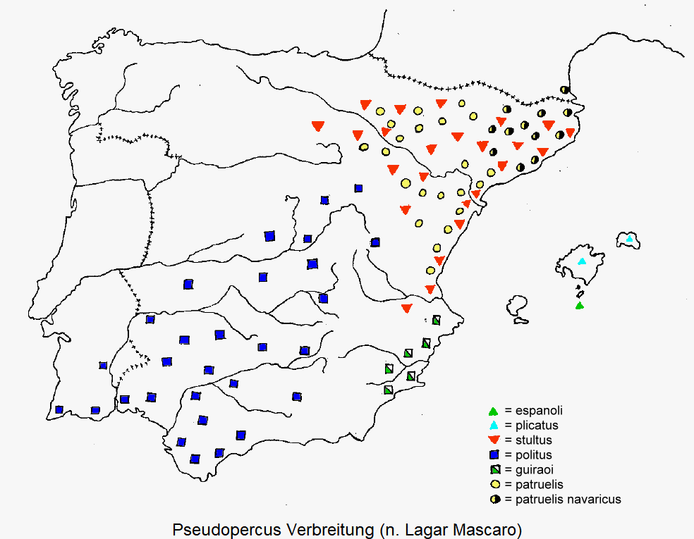 pseudopercus_verbreitung.gif