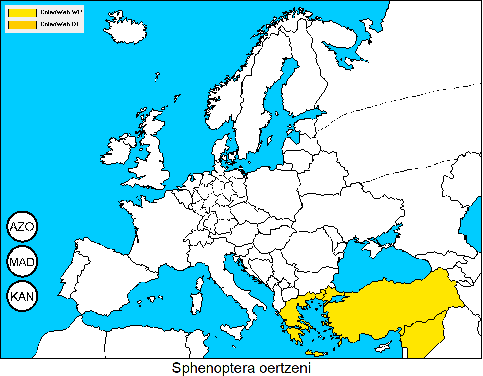 sphenoptera_oertzeni_dis.gif