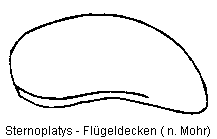 sternoplatys_fld.gif