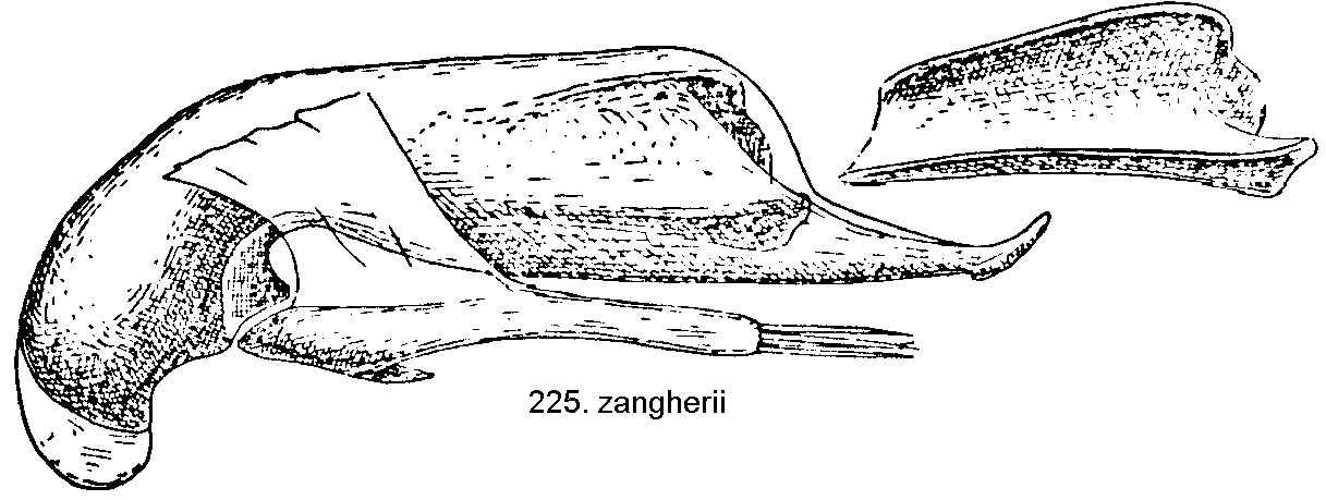 tre225.gif