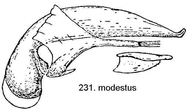 tre2311.gif